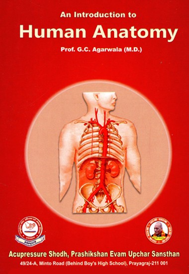 An Introduction To Human Anatomy