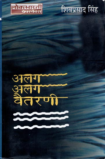 अलग अलग वैतरणी: A Novel In Hindi