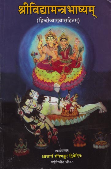 श्रीविद्यामन्त्रभाष्यम: Shri Vidya Mantra Bhashyam