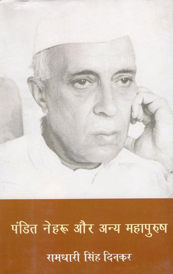 पंडित नेहरू और अन्य महापुरुष: Pandit Nehru and Other Great Men