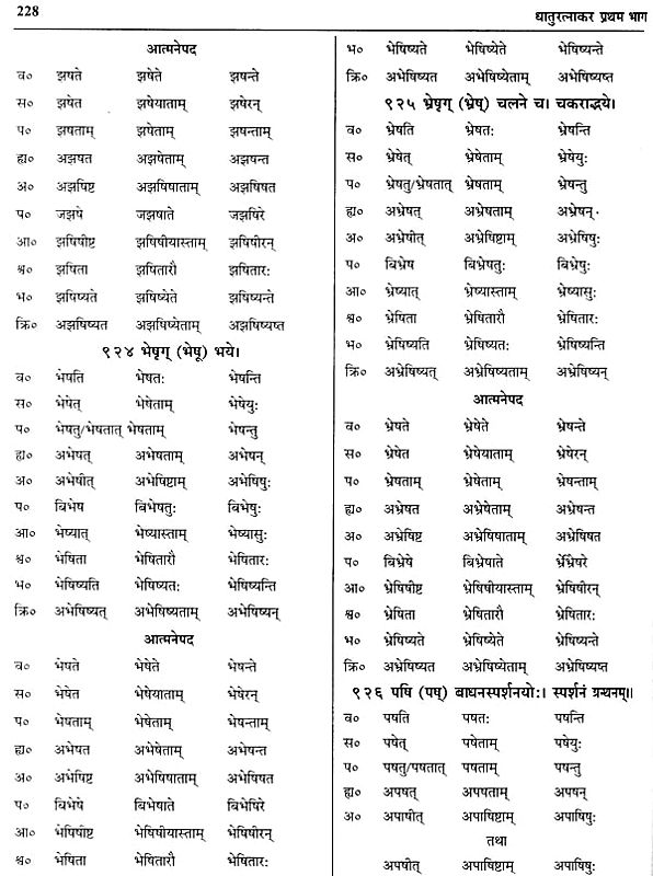 धातुरत्नाकर Dhatu Ratnakara (Set of 5 Volumes) Exotic India Art