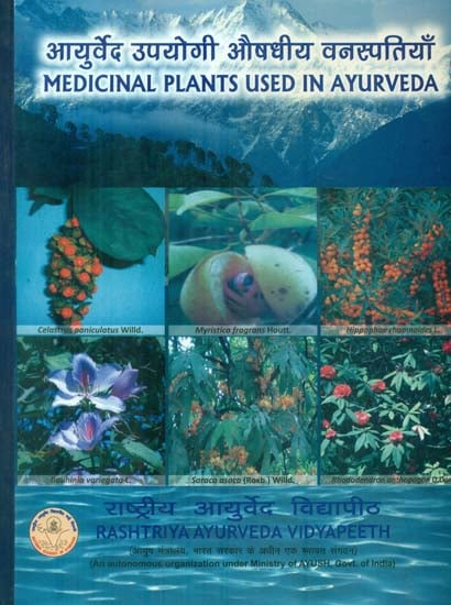 आयुर्वेद उपयोगी औषधीय वनस्पतियाँ Medicinal Plants Used In Ayurveda