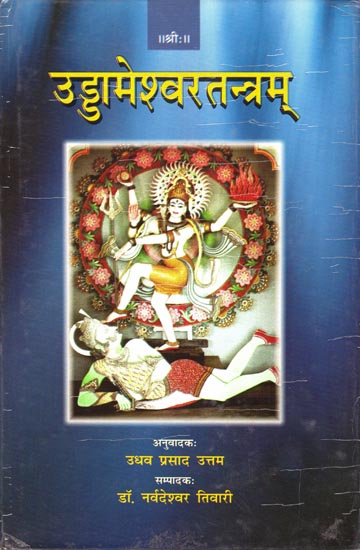 उड्डामेश्वरतन्त्रम: Uddamareshvara Tantra