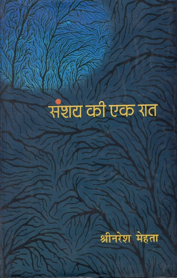 संशय की एक रात: A Night of Confusion by Shri Naresh Mehta (Hindi Poems)