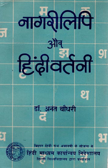 नागरी लिपि और हिंदी वर्तनी: Nagari Script and Hindi Script (An Old Book)