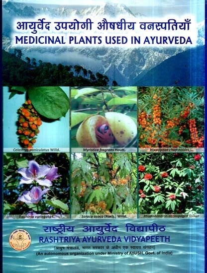 आयुर्वेद उपयोगी औषधीय वनस्पतियाँ: Medicinal Plants Used In Ayurveda (An old Book)