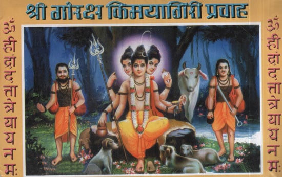 श्री गोरक्ष किमयागिरी प्रवाह - Shri Goraksha Alchemy Stream (Marathi)