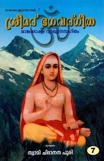 Bhagavad Gita in Malayalam (Vol - VII)