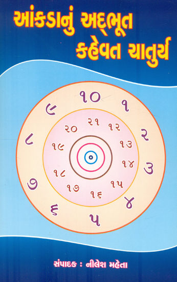 Aankadanu Adbhoot Kahevat Chaturya - Novel (Gujarati)