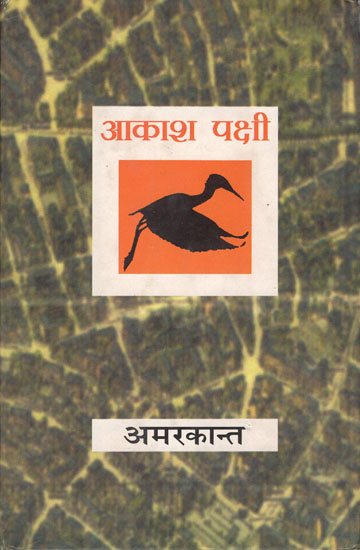 आकाश पक्षी : Aakash Pakshi (Novel)