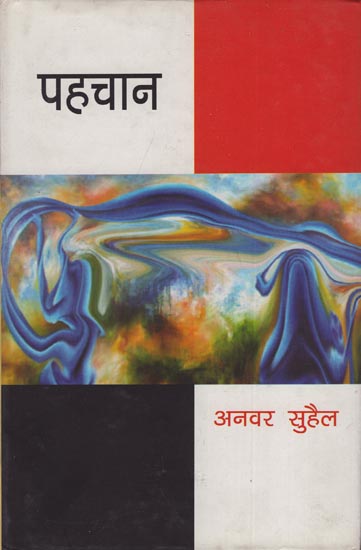 पहचान: Pahachan (A Novel)