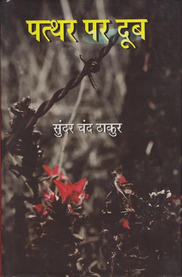 पत्थर पर दूब: Patthar Per Doob (A Novel)