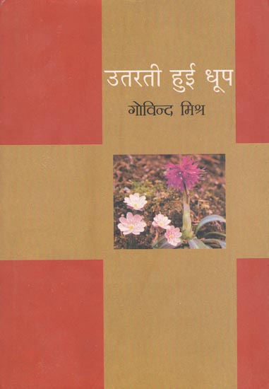 उतरती हुई धुप: Utarti Hui Dhoop (A Novel)