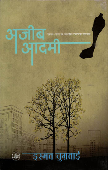 अजीब आदमी: Ajeeb Aadmi (Romantic Novel Based on The Film World)