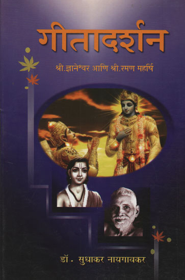 गीता दर्शन - Gita Darshan (Marathi)