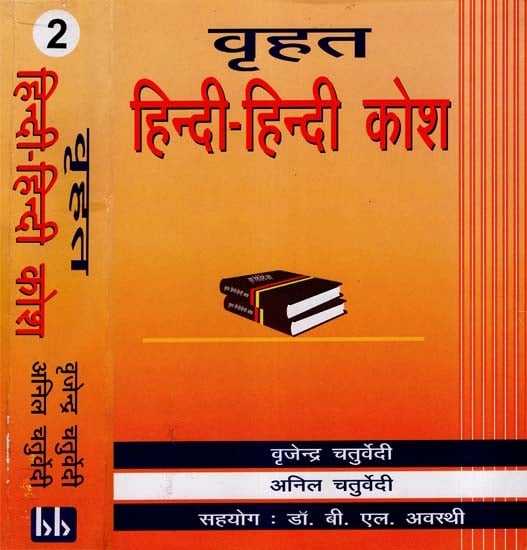 वृहत हिन्दी - हिन्दी कोश: Brihat Hindi - Hindi Dictionary (Set Of 2 Volumes)