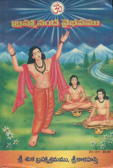 బ్రహ్మనంద వెైభవేము: Brahmananda Vaibhavam (Telugu)