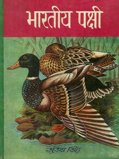 भारतीय पक्षी- Indian Bird (An Old and Rare Book)