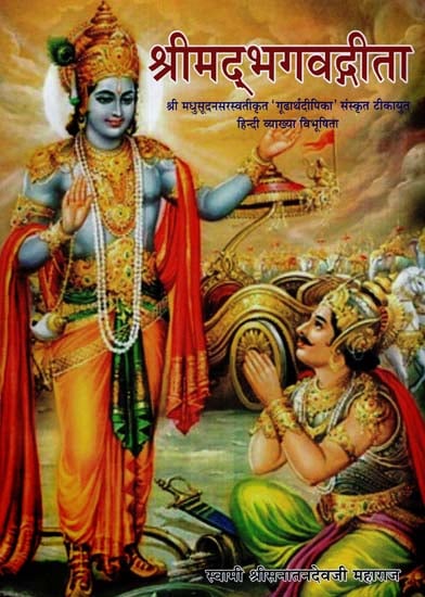 श्रीमद् भगवद्गीता - Srimad Bhagavad Gita
