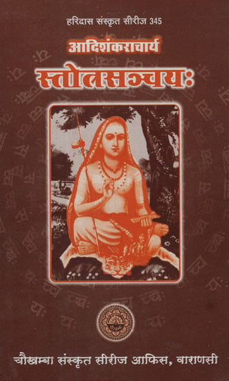 आदिशंकराचार्य स्तोत्रसञ्चय: - Adi Sankara Charya Stotra Sanchaya