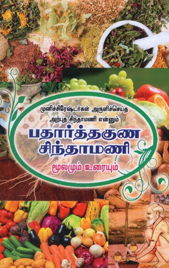 Padhartha Guna Sinthamani - Moolamum Uraiyum in Tamil