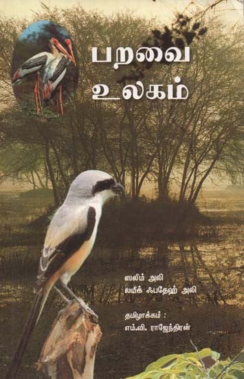 Common Bird (Tamil)