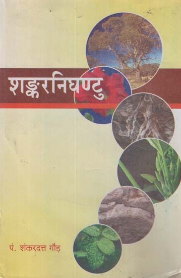 शंकरनिघण्टु - Shankar Nighantu (An Old Book)