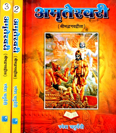 अमृतेश्वरी- Amriteshwari- Shrimad Bhagavad Gita ÿ(Set Of 3 Volumes)