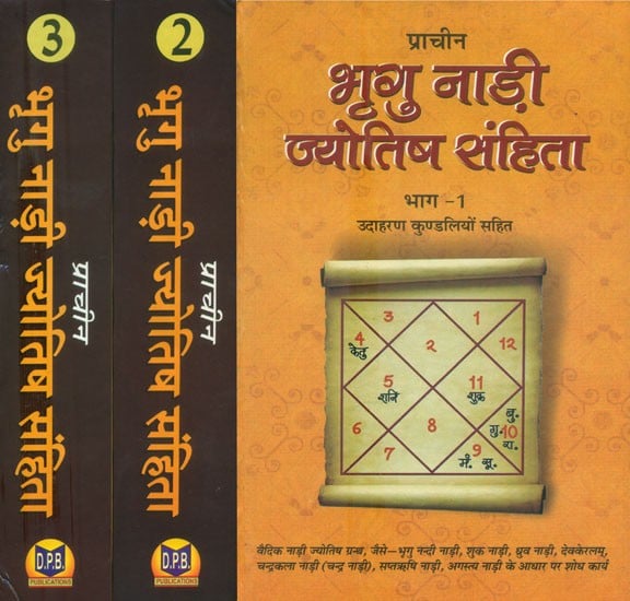 प्राचीन भृगु नाड़ी ज्योतिष संहिता- Ancient Bhrigu Nadi Jyotish Samhita With Horoscopes Example (Set Of 3 Volumes)