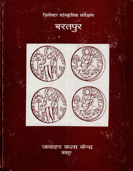 ज़िलेवार सांस्कृतिक सर्वेक्षण भरतपुर - District Wise Cultural Survey Bharatpur (An Old And Rare Book)