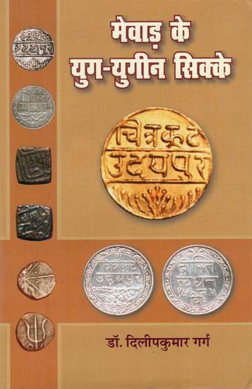 मेवाड़ के युग युगीन सिक्के - Mewar Era Coins