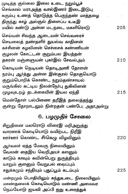 Nakkirar Aruliya - Souce Commentary, Glossary (Tamil) | Exotic India Art