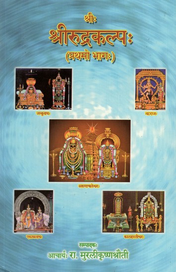 श्रीरूद्रकल्प:- Sri Rudra Kalpa (Part-I)