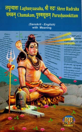 लघुन्यासम्, श्री रुद्रम्, चमकम्, पुरुषसूक्तम्- Laghunyaasaha, Shree Rudraha, Chamakam, Purushasooktam (Sanskrit - English With Meaning)