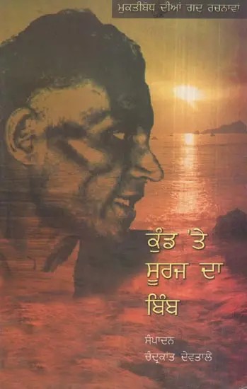 Dabre Par Sooraj Ka Bimb (Punjabi)