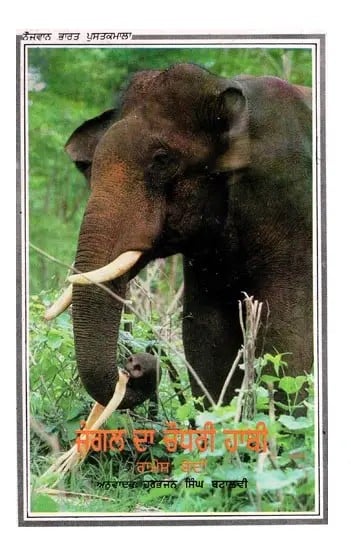 Elephant Lord of The Jungle (Punjabi)