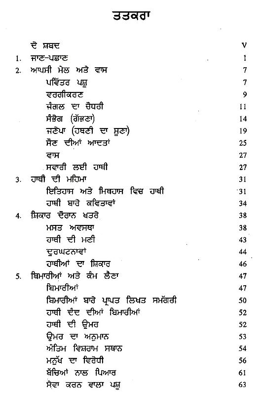 Elephant Lord of The Jungle (Punjabi) Exotic India Art