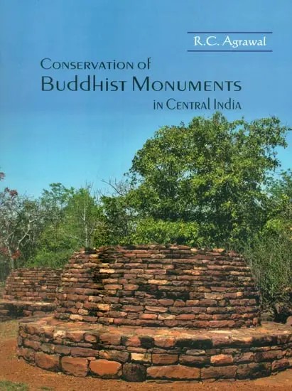 Conservation of Buddhist Monuments in Central India