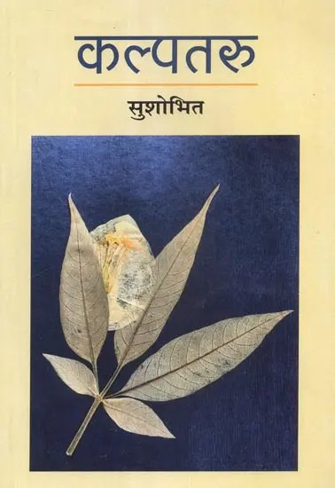 कल्पतरु - Kalpataru (Interactions)