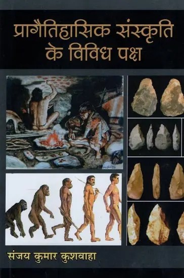 प्रागैतिहासिक संस्कृति के विविध पक्ष- Various Aspects of Prehistoric Culture