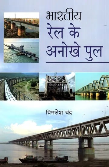 भारतीय रेल के अनोखे पुल- Unique Bridges of Indian Railways