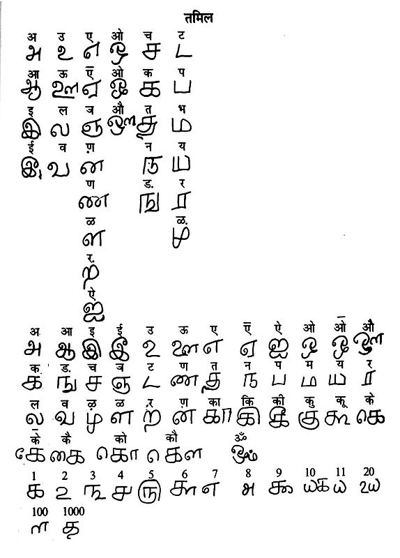 Introduction to Manuscriptology | Exotic India Art