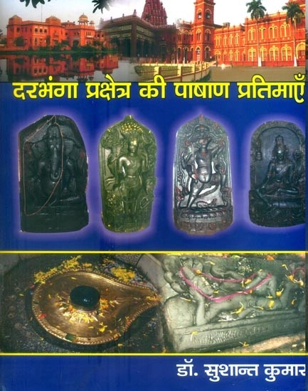दरभंगा प्रक्षेत्र की पाषाण प्रतिमाएँ- Stone Statues of Darbhanga Zone
