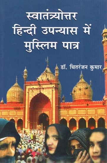 स्वातंत्र्योत्तर हिन्दी उपन्यास में मुस्लिम पात्र- Muslim Characters in a Post-Independence Hindi Novel