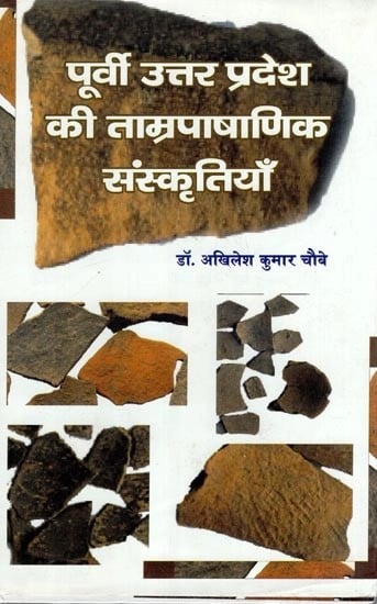 पूर्वी उत्तर प्रदेश की ताम्रपाषाणिक संस्कृतियाँ - Chalcolithic Cultures of Eastern Uttar Pradesh