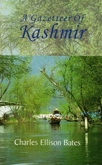 A Gazetteer of Kashmir and The Adjacent Districts of Kishtwar, Badrawar, Jammu, Naoshera, Punch, and The Valley of The Kishen Ganga