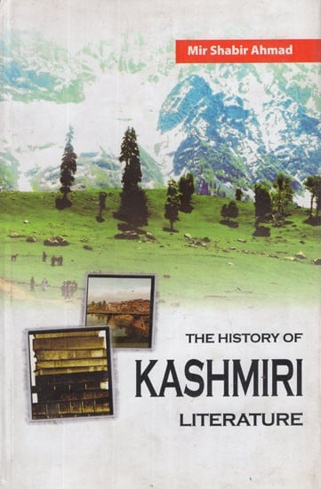 The History of Kashmiri Literature (Vol-I)