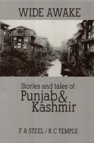 Wide Awake: Story and Tales of Punjab & Kashmir