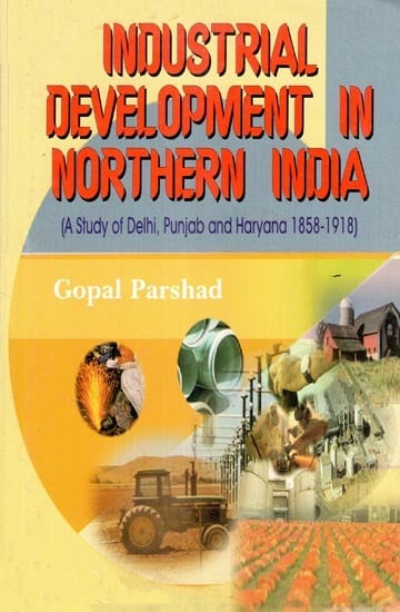 Industrial Development in Northern India  (A Study of Delhi, Punjab and Haryana 1858-1918)