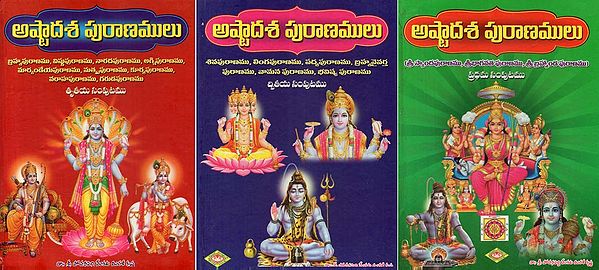 అష్టాదశ పురాణములు: Asthadasa Puranamulu in Telugu
 (Set of 3 Volumes)